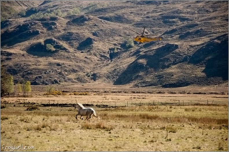 Search and Rescue Helicopter.jpg